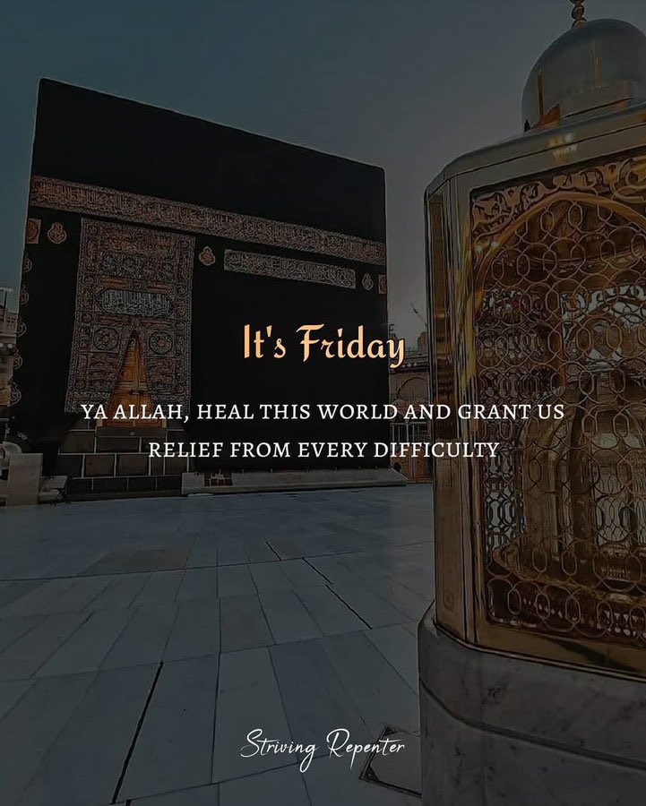 GM to my actives and happy Friday 

Say it back