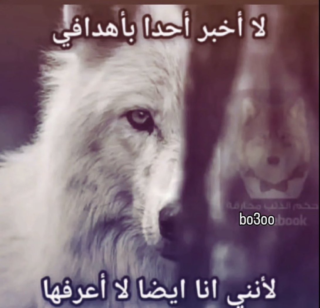 my album (@maalbums) on Twitter photo 