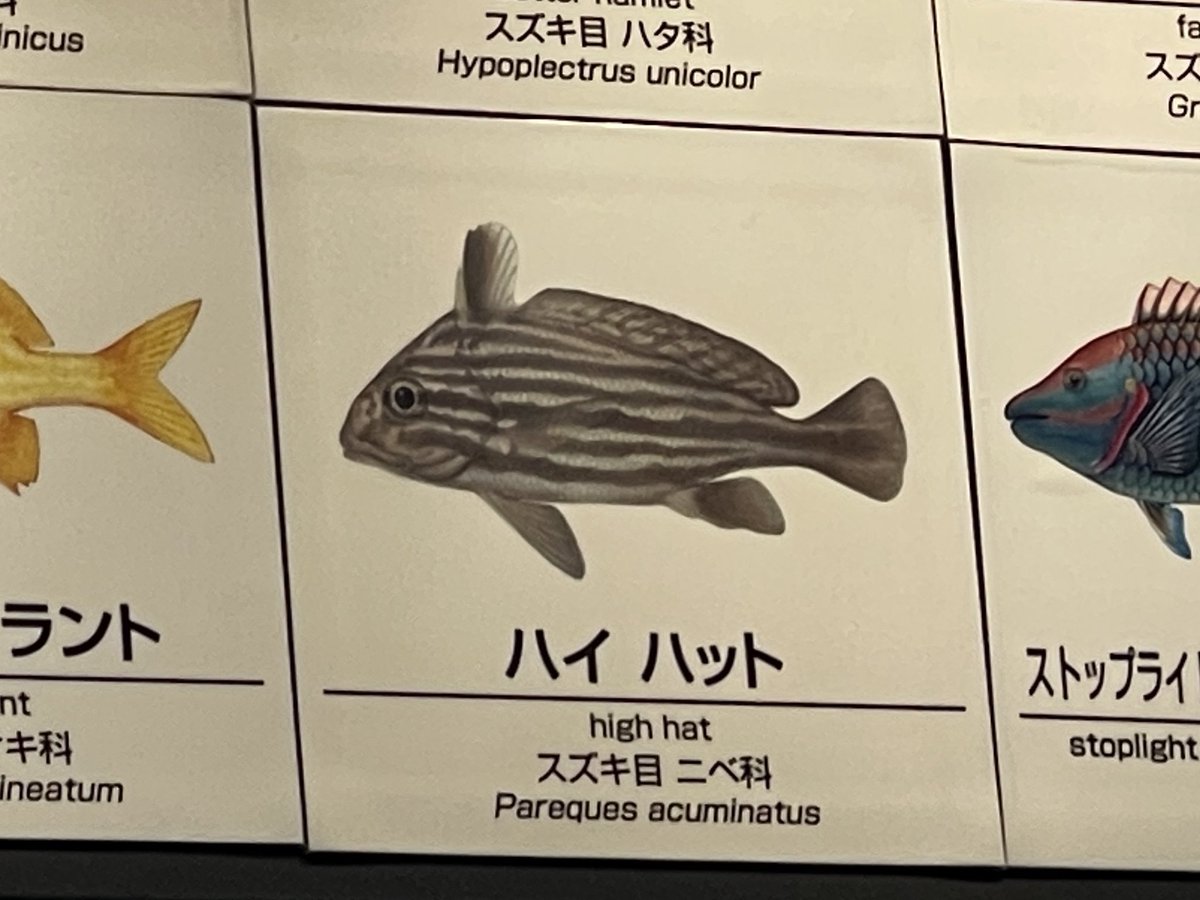 お世話になってます