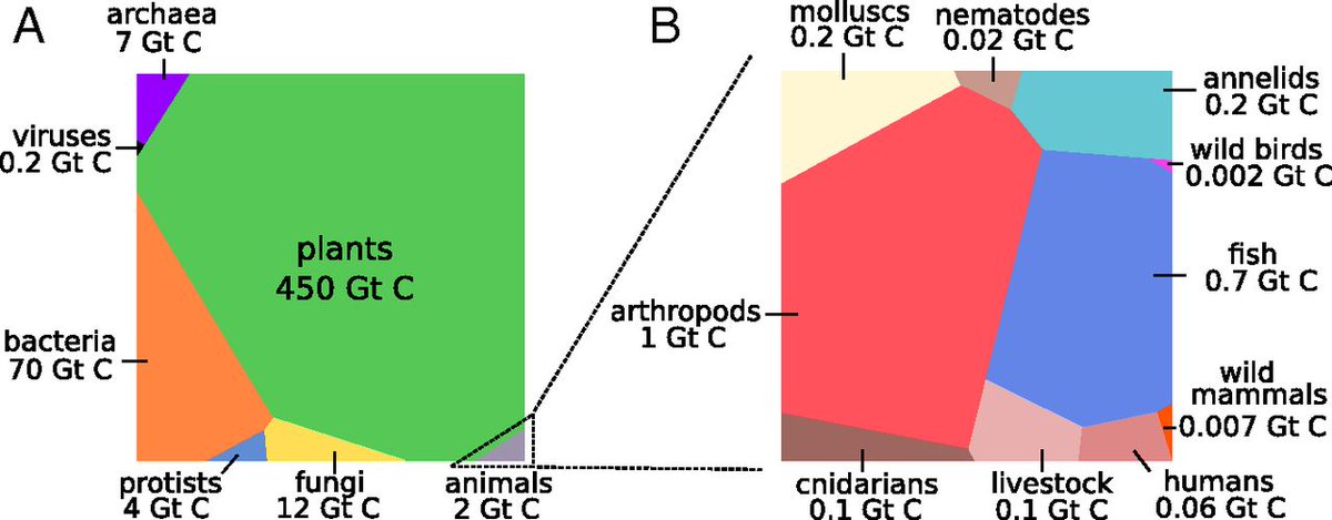 oyae's tweet image. Look at this distribution of carbon in living things.