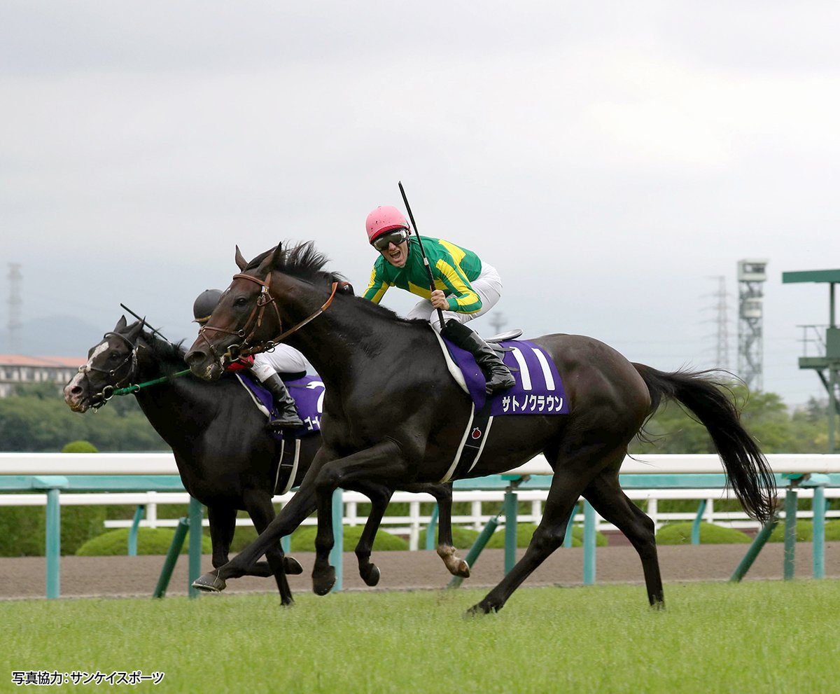 SEGA_OFFICIAL's tweet image. 2026年は午年、ということで里見名誉会長の名馬たちを紹介します。飛躍の一年を！

🏇サトノダイヤモンド
🏇サトノクラウン
🏇サトノレーヴ
🏇サトノボヤージュ　　

写真協力：サンケイスポーツ