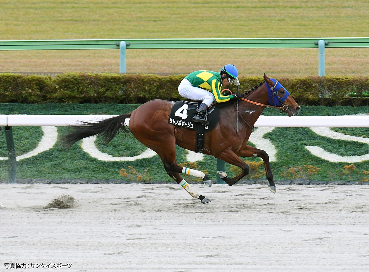 SEGA_OFFICIAL's tweet image. 2026年は午年、ということで里見名誉会長の名馬たちを紹介します。飛躍の一年を！

🏇サトノダイヤモンド
🏇サトノクラウン
🏇サトノレーヴ
🏇サトノボヤージュ　　

写真協力：サンケイスポーツ