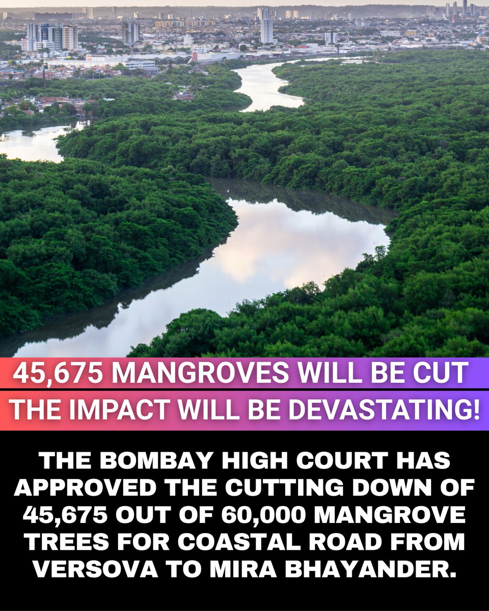 Kalyan Kumar Biswal tweet media