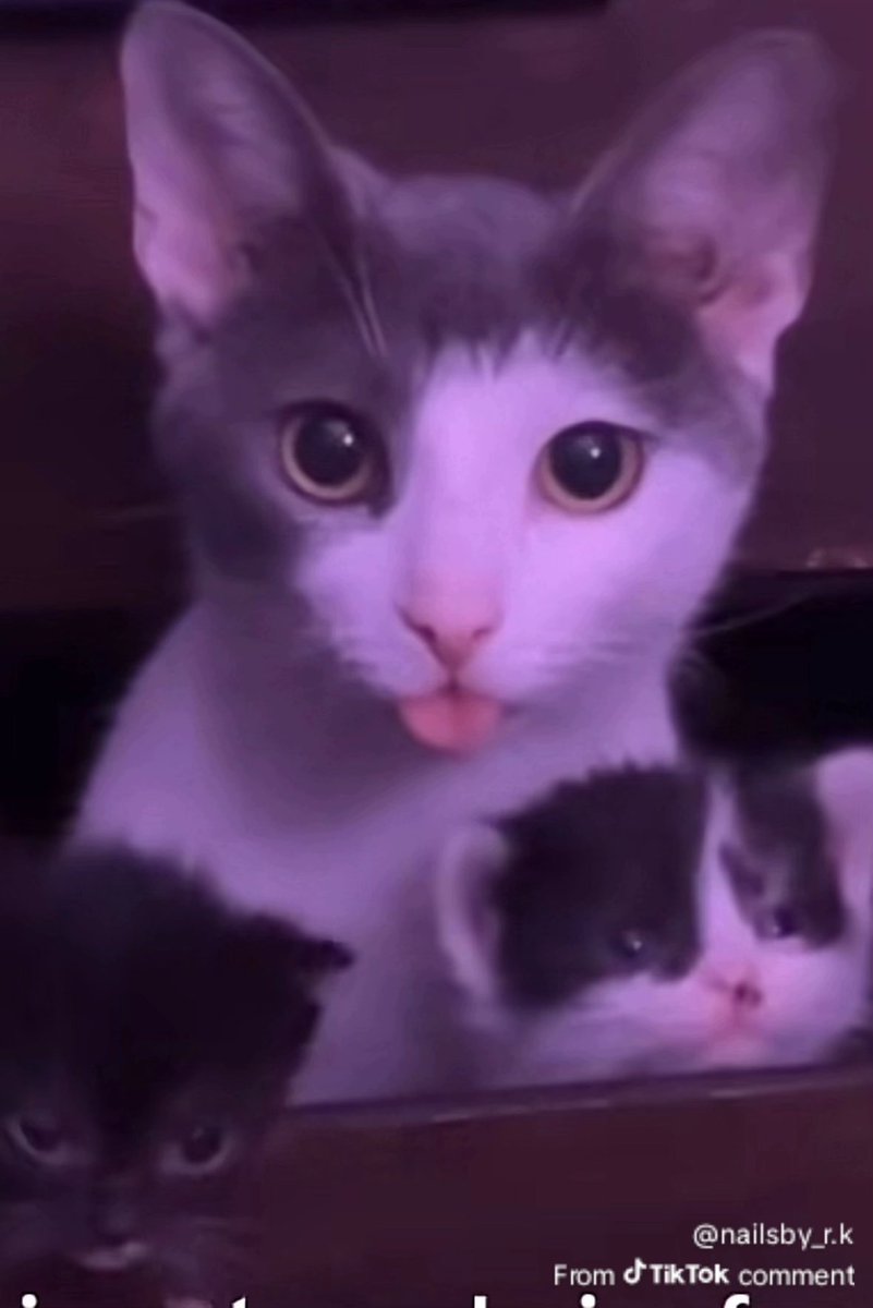 Rhen Sweetz tweet media