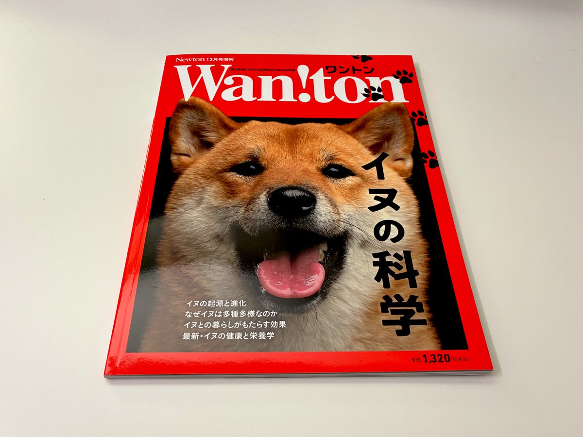 まめすけ (@mamesuke1109) / Posts / X