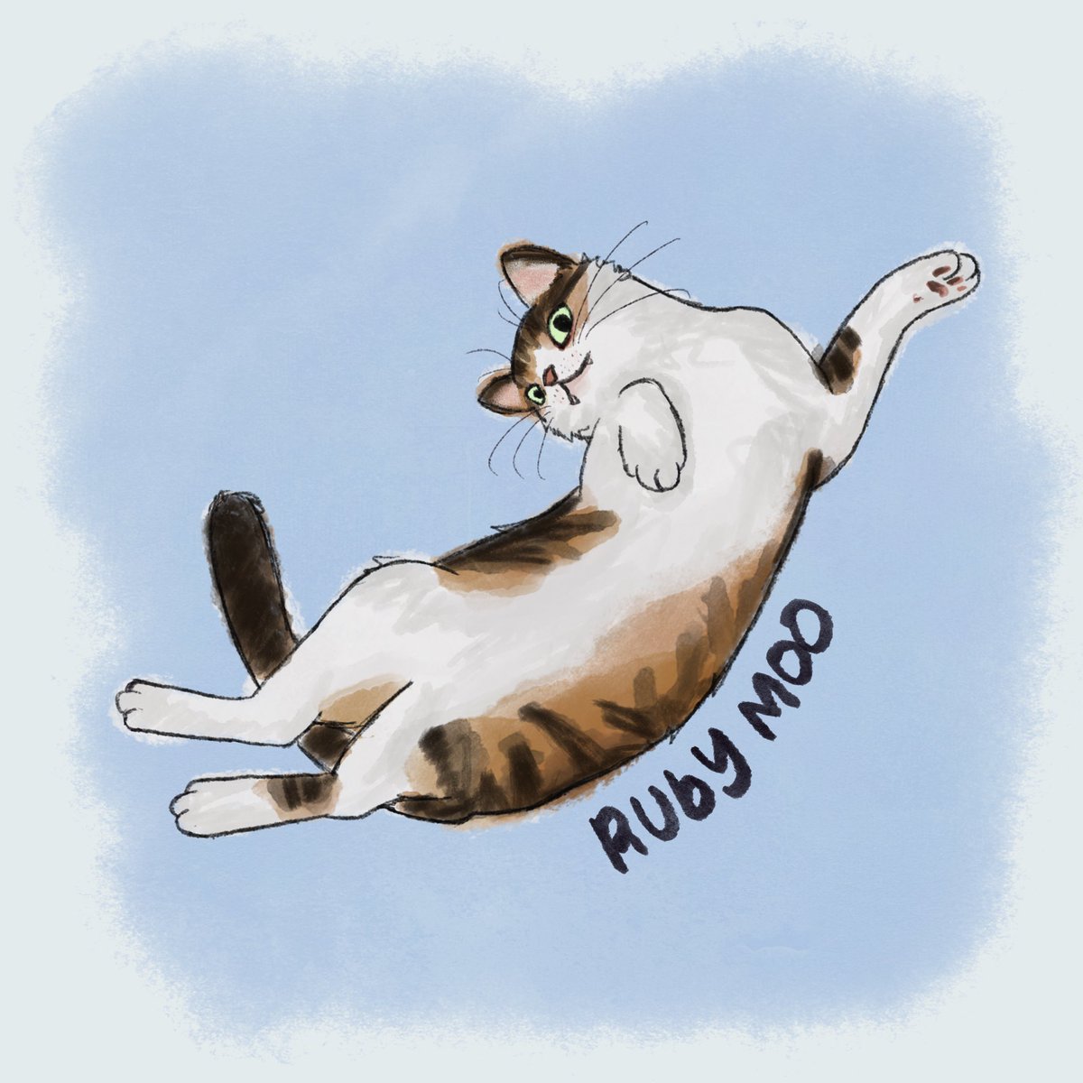 alphakitty_'s tweet photo. Belly https://t.co/RrbnBjt19y