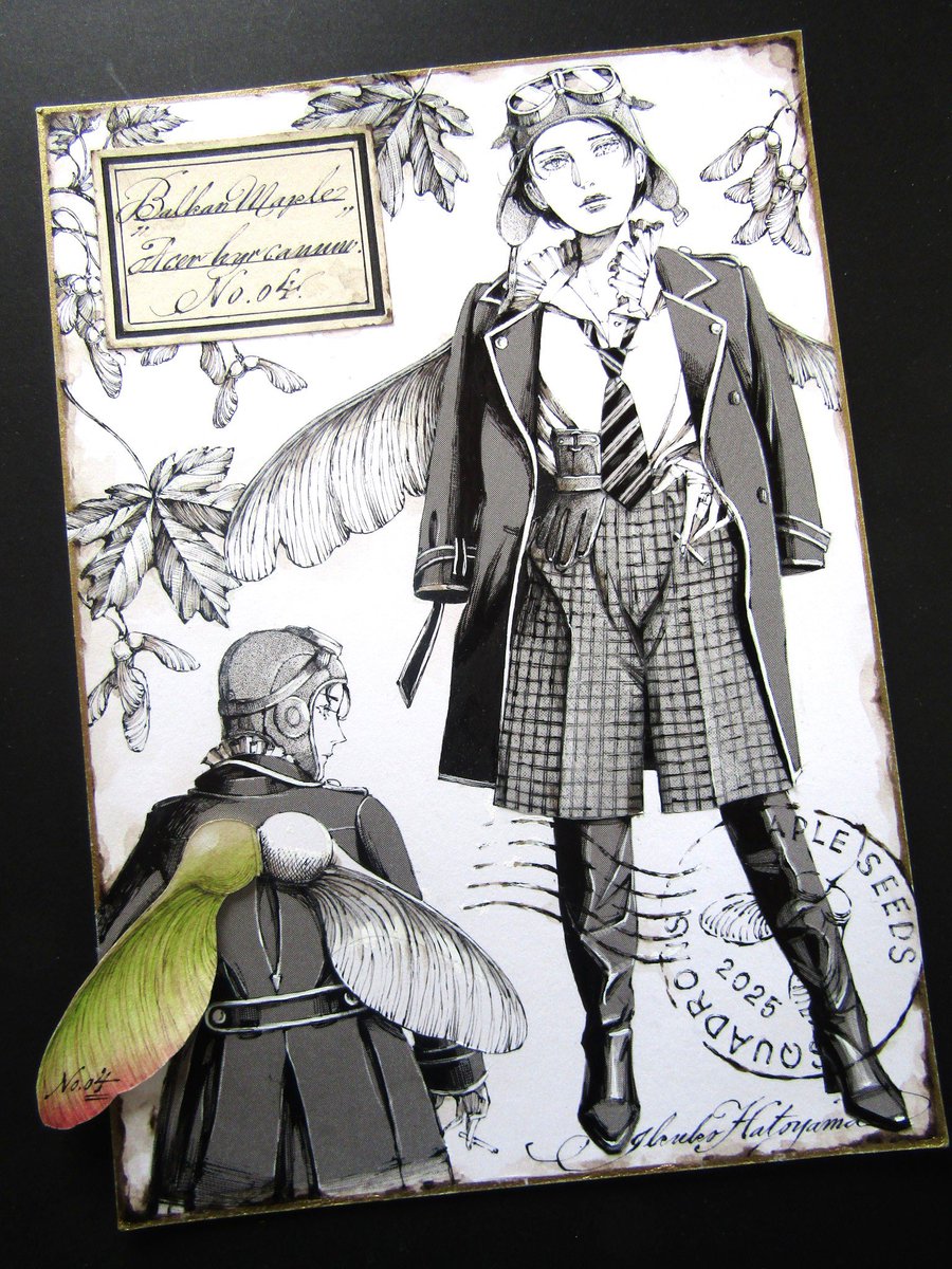 ノルウェイ、シルバー、ボックスエルダー（ネグンド）、バルカンカエデ