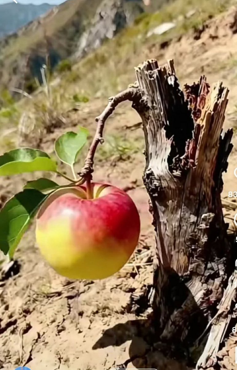 Hayırlı Sabahlar Hayırlı Cumalar Günaydınlar.☕🎼