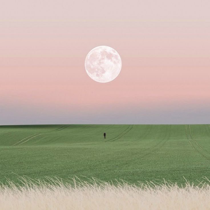 seraphicxc's tweet image. 