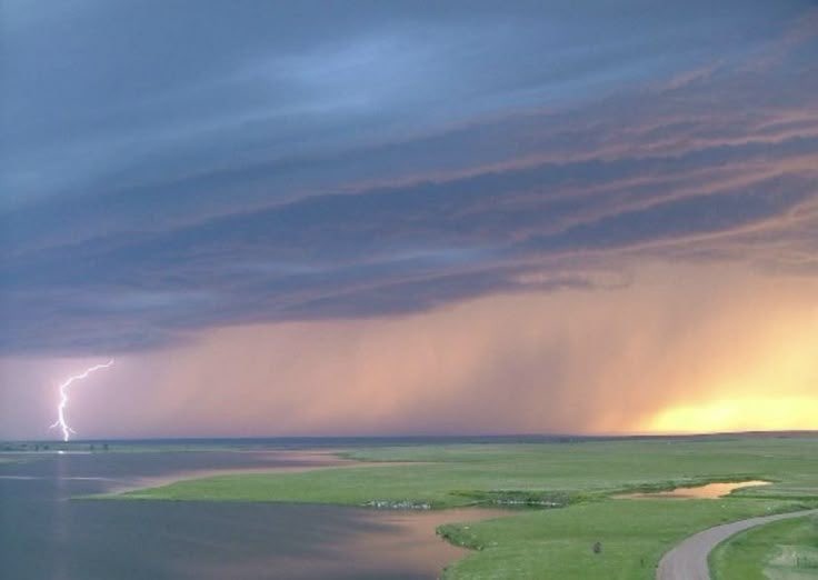 seraphicxc's tweet image. 