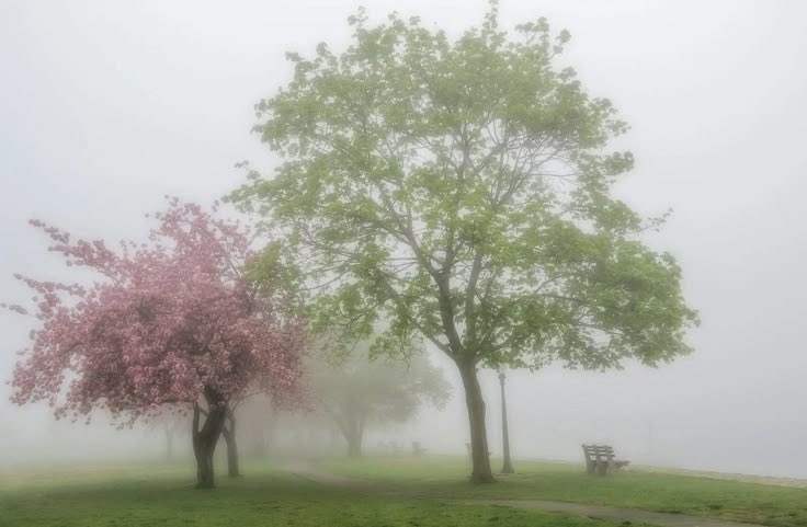 seraphicxc's tweet image. 