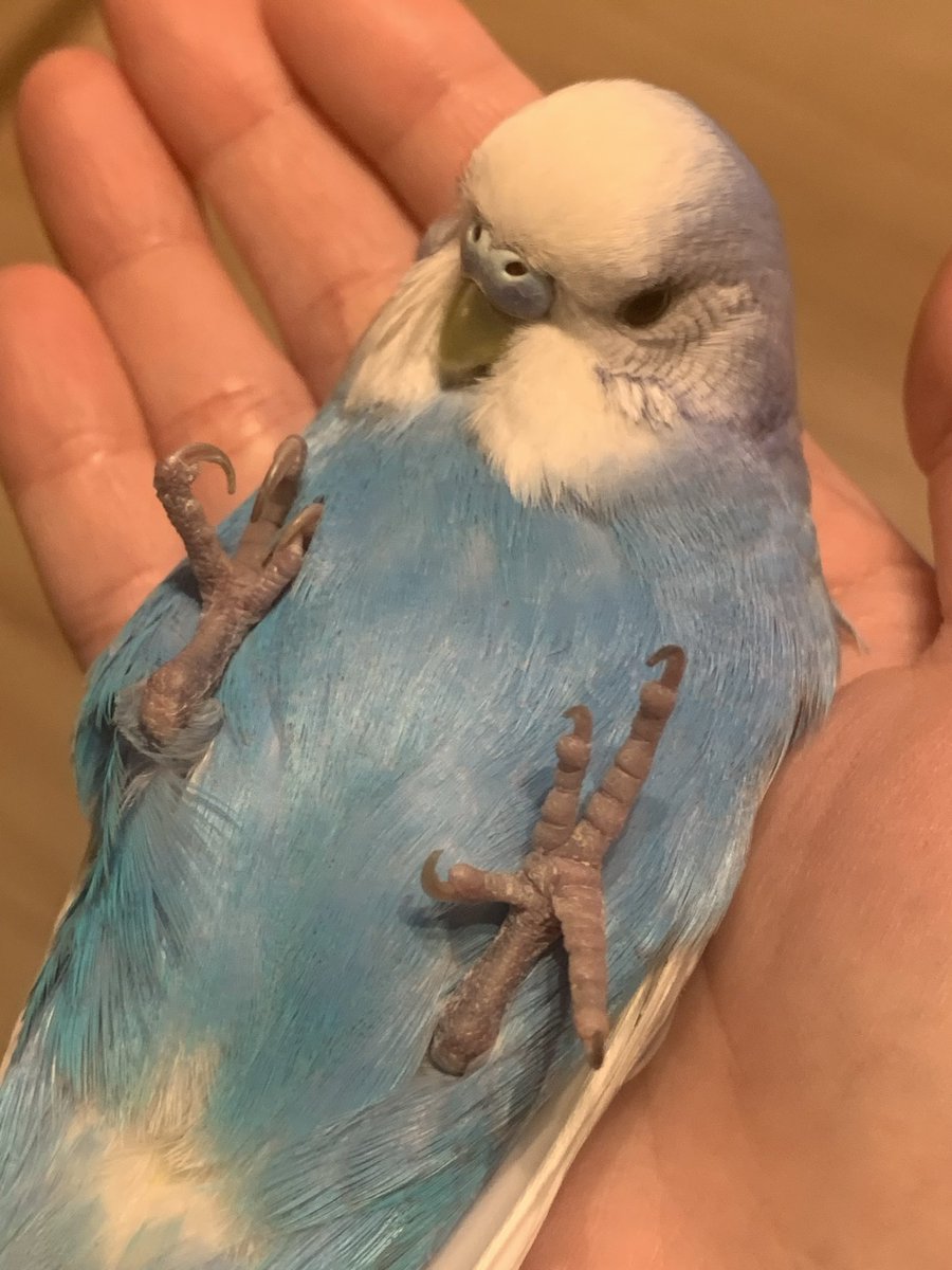 みるきー様☆専用ページ みるきー (@milkyma2) / Posts / X