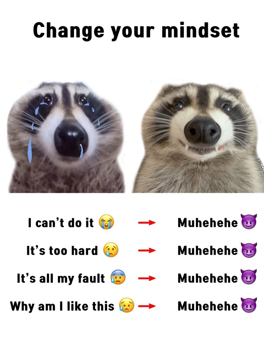 ShouldHaveRacc's tweet image. 