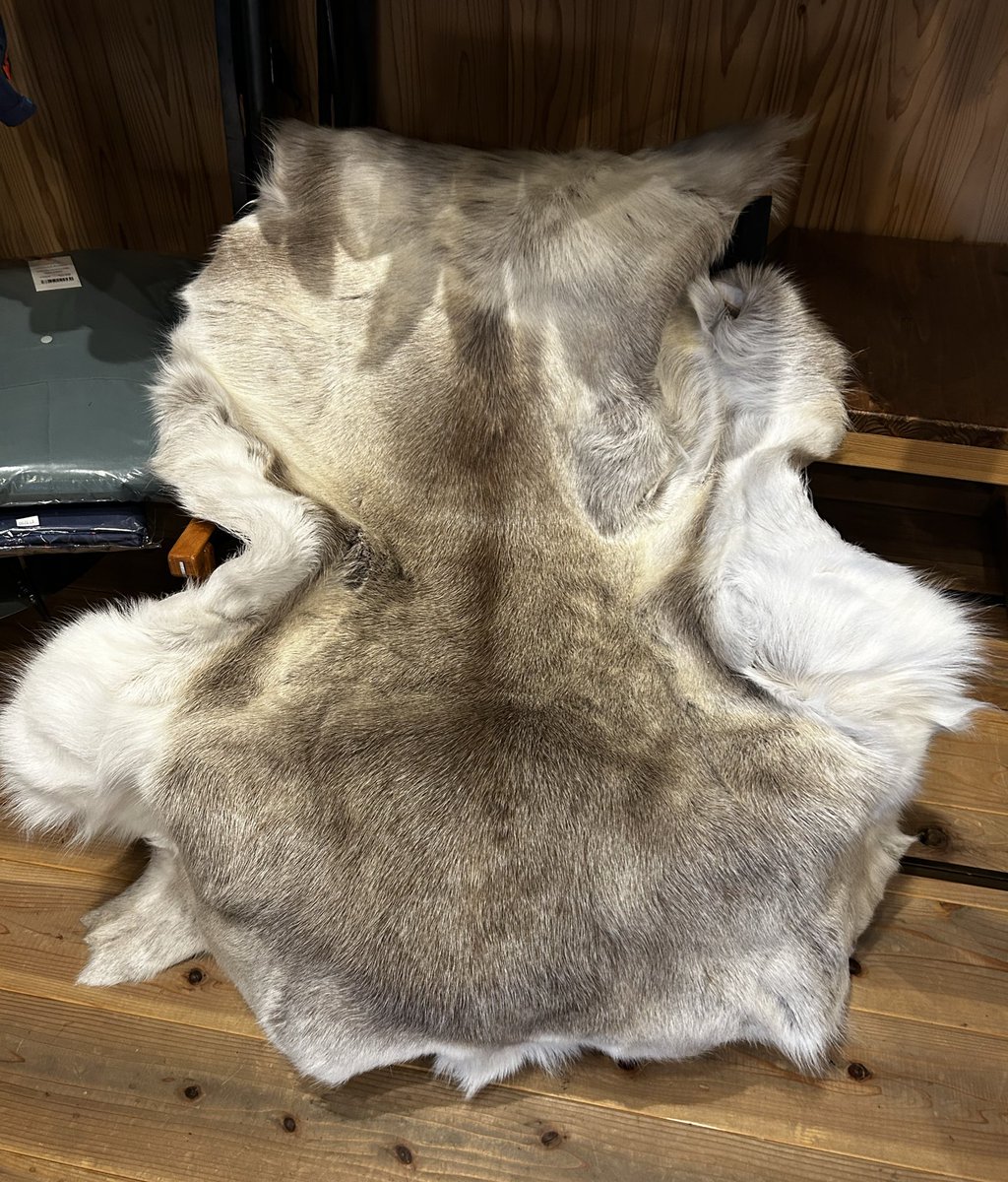 北欧サーミ族 本物トナカイ毛皮 DALUM Mサイズ 楽天市場】ダーラム トナカイファー ワードM Dalum | トナカイファー