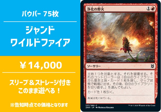 商品情報】 「デッキ販売コーナー」ではパウパーのデッキセットを多数