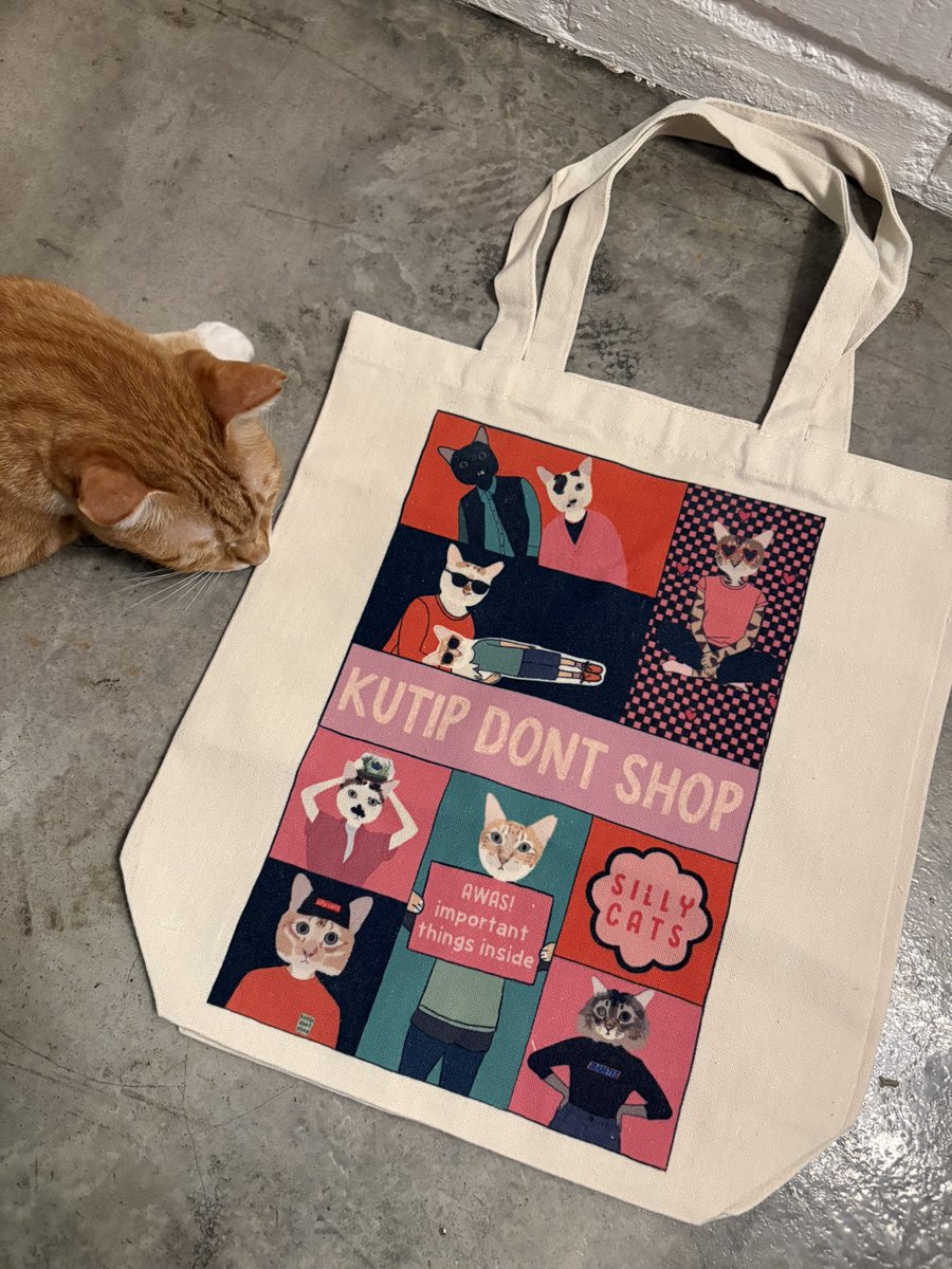 min min 🐱 tweet media