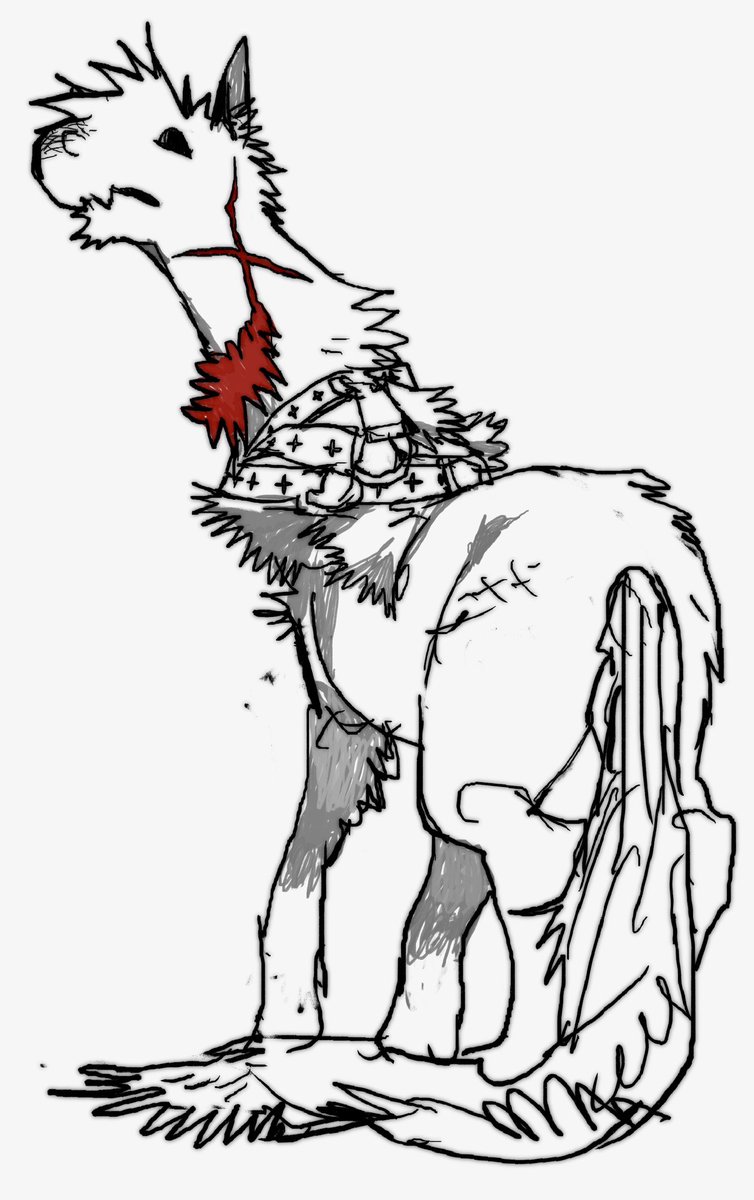 sunash (@sunash06) on Twitter photo 