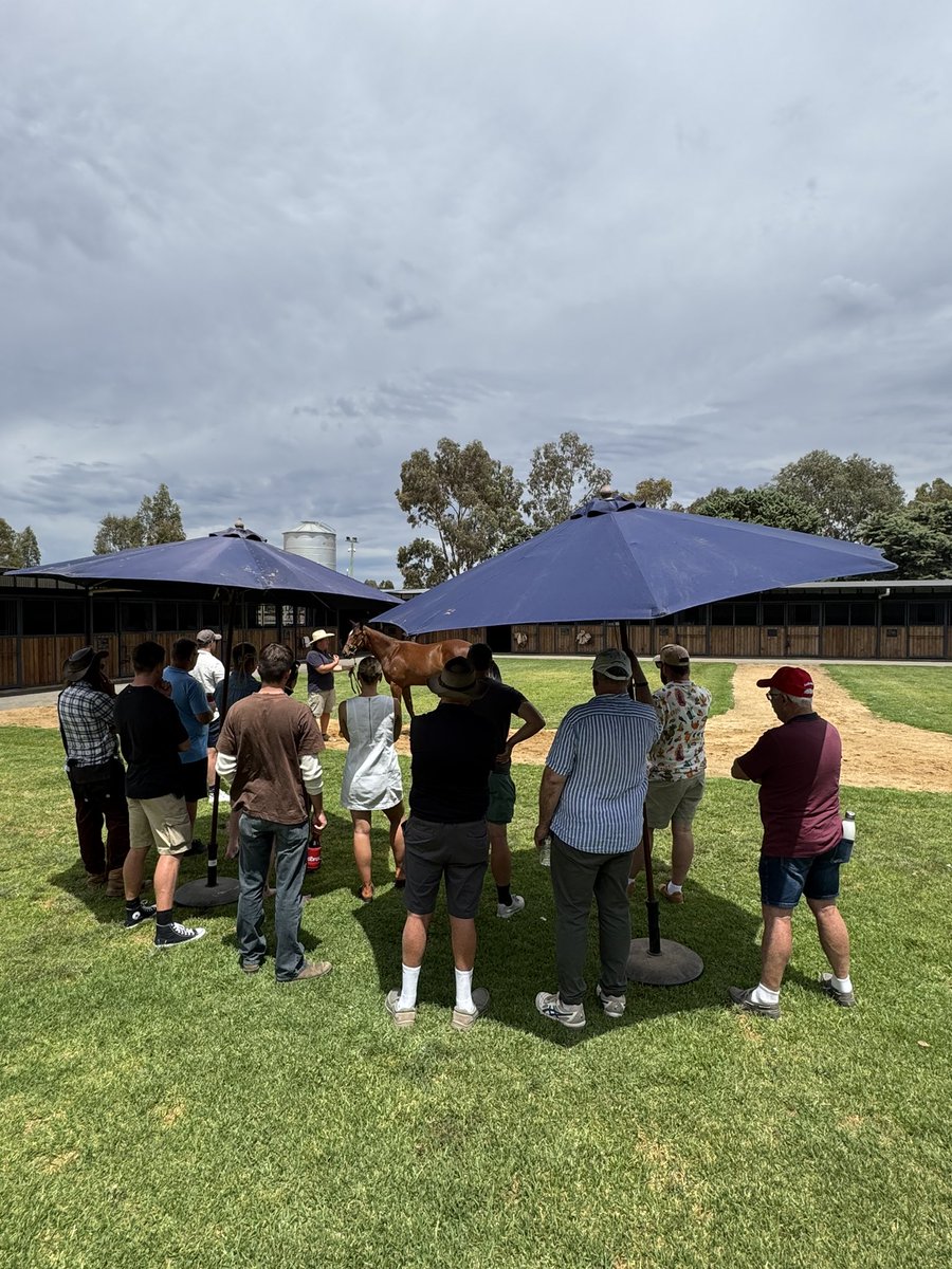 Bendigo Jockey Club tweet media