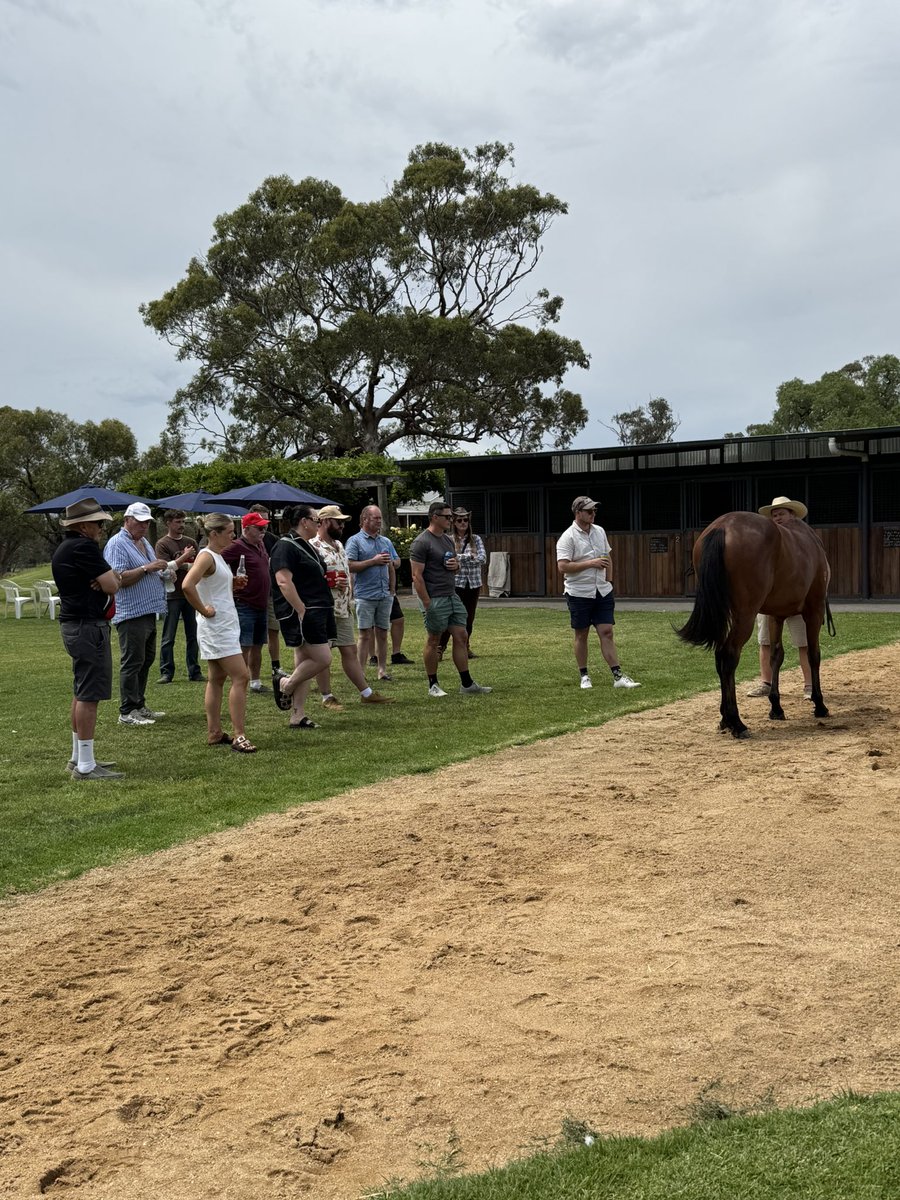 Bendigo Jockey Club tweet media