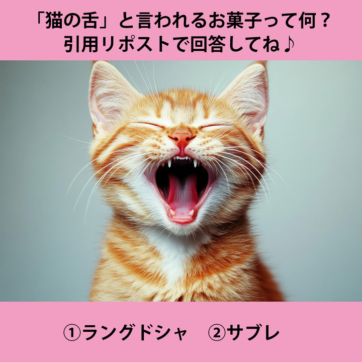 Post by かあら on X: ①