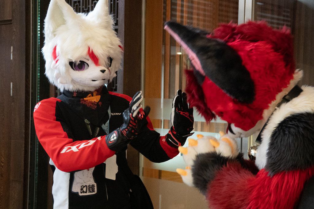 謝謝 <a href="/silverfox5213/">Silverfox 🔜FURUM 2025</a> 老師的抱抱！
這感謝我承受不起啊！！！
📸： Oak Chen 
#FursuitFriday #infurnity2025 #萬獸方城市