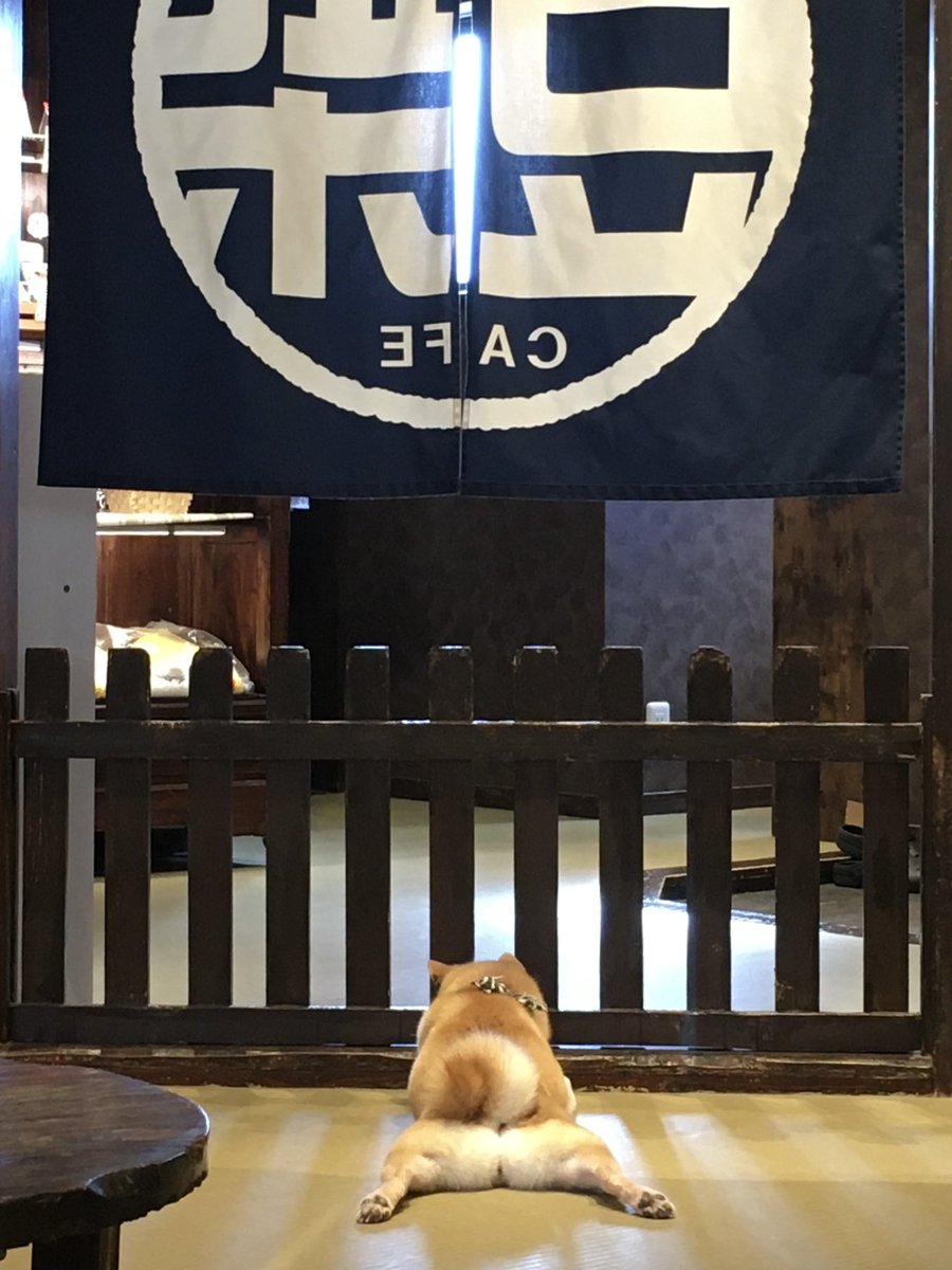 뽀 tweet media