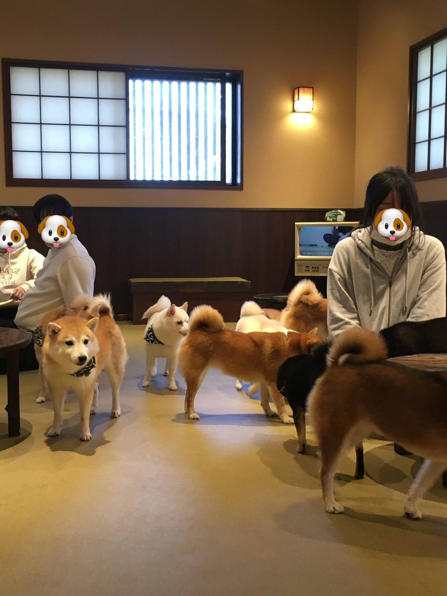 뽀 tweet media