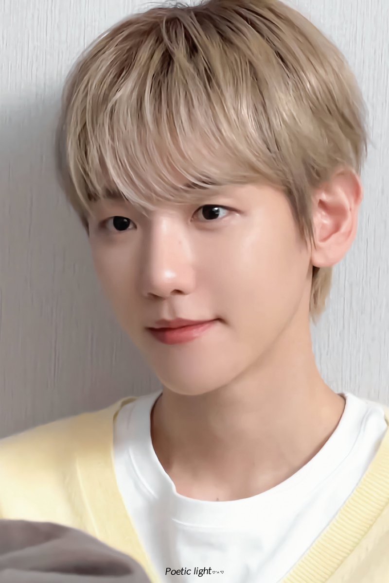 달이 tweet media