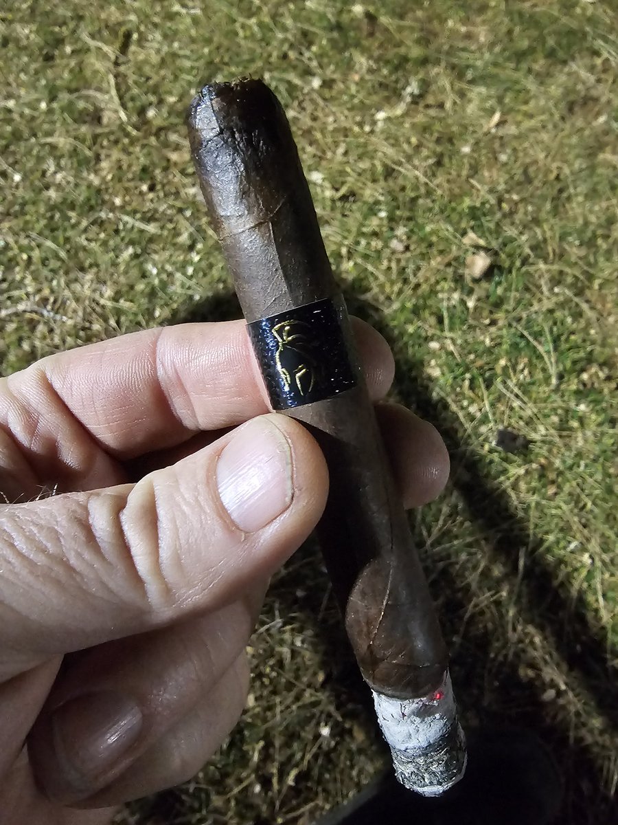 SnoBrawler tweet media