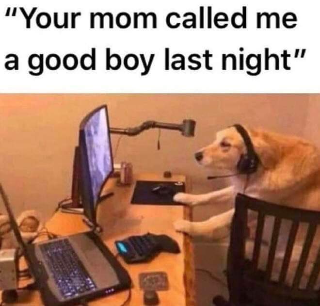 SpillTheMemes's tweet image. 😂