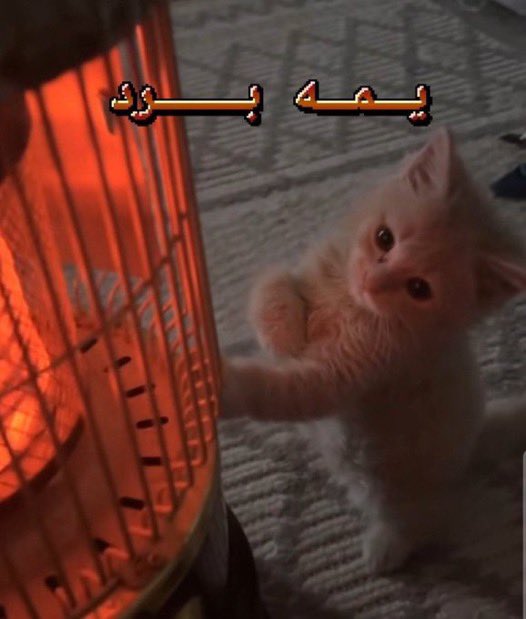 كل ماسمعت حس اهلي شغلت المكيف لأني قعدت اهايط عليهم اني ماحس ببرد وها عيني ماتشوفه شي 

انا كل مابعدوا عن غرفتي