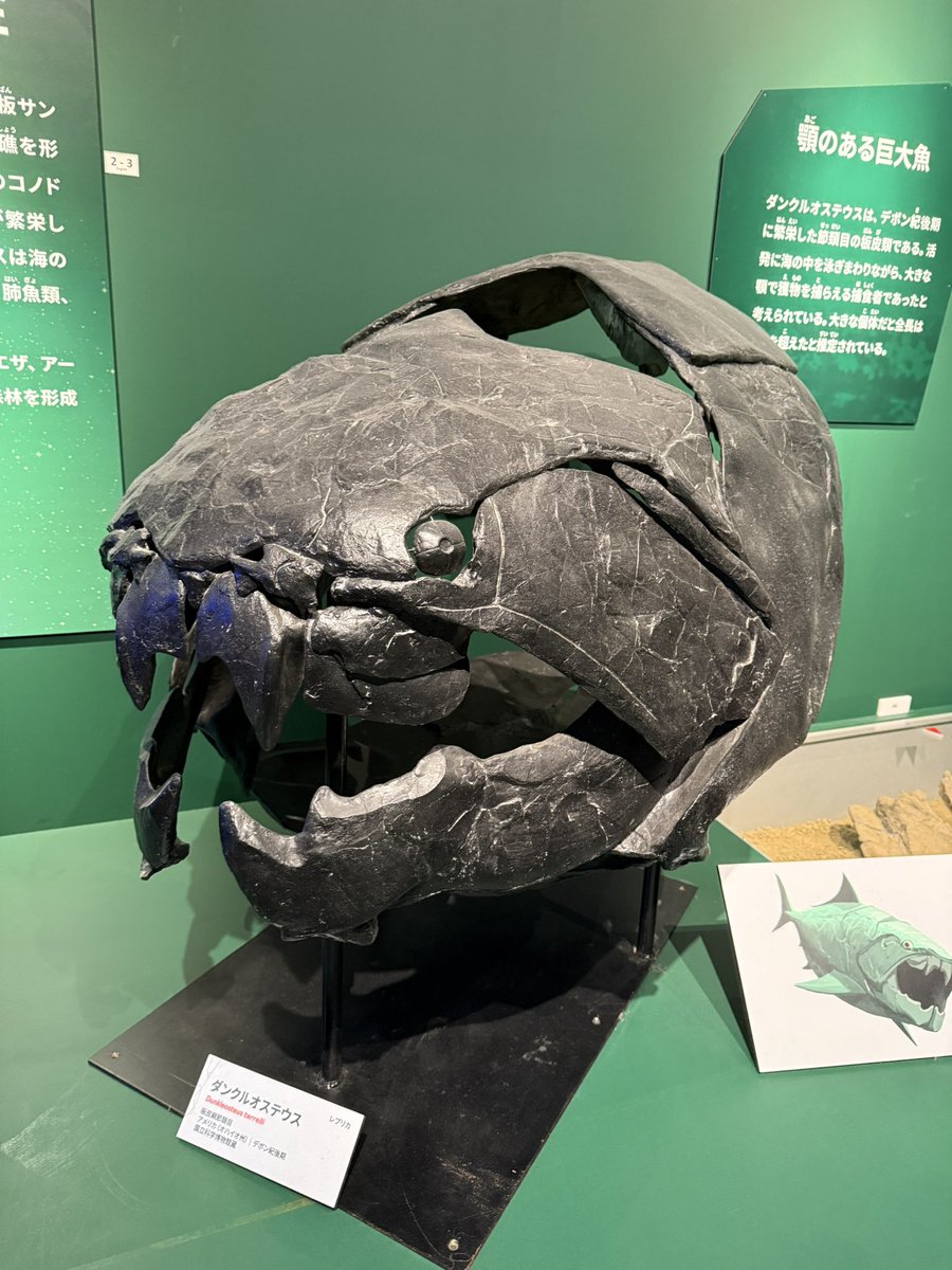 ゆうたろう (@yuuutarou) / Posts / X