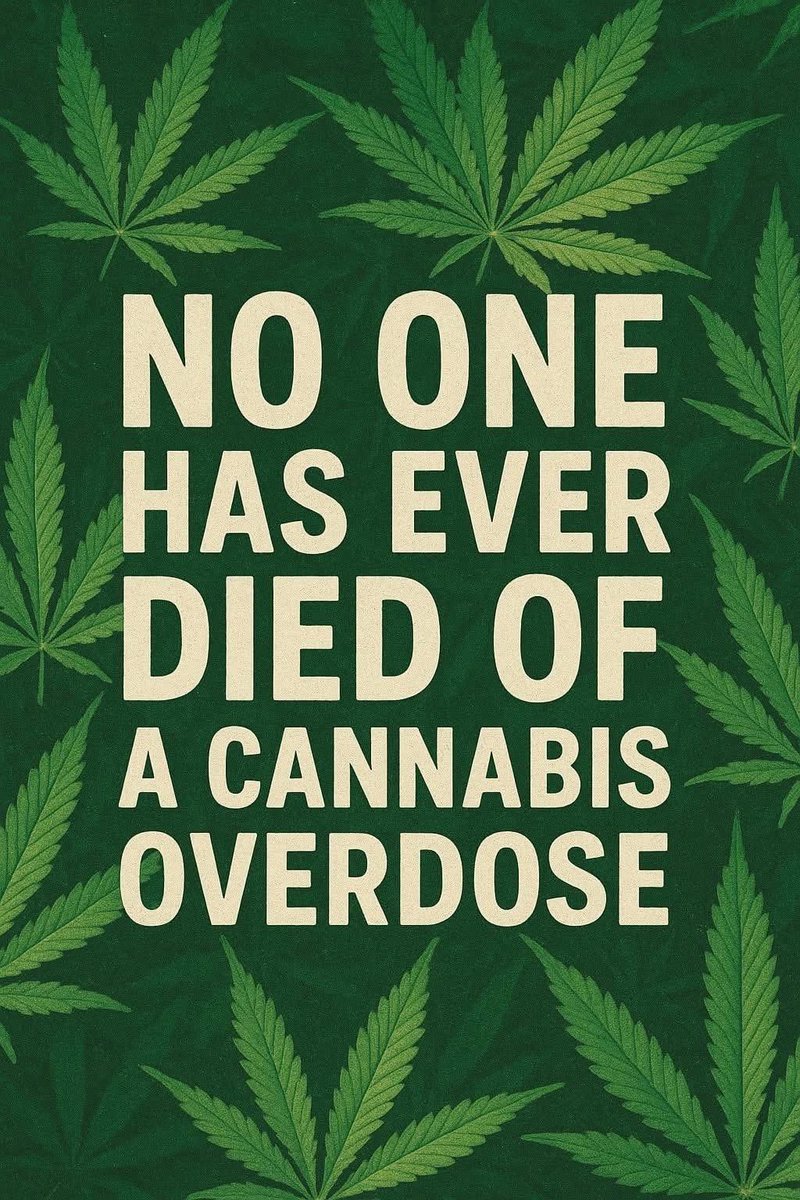 _StonersRUs_'s tweet image. Literally no one 😮‍💨