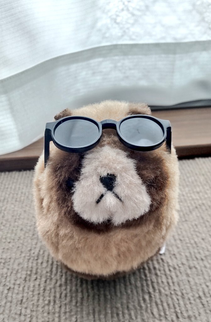 たぬきです。 みなさん！こんにちは！たぬきです！ごしゅじんはげんきです！ みんな