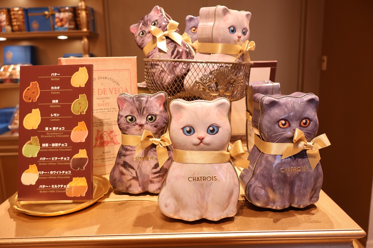 🧩12/19（金）NEWオープン！🧩 3F グレイシャス・スクエアに