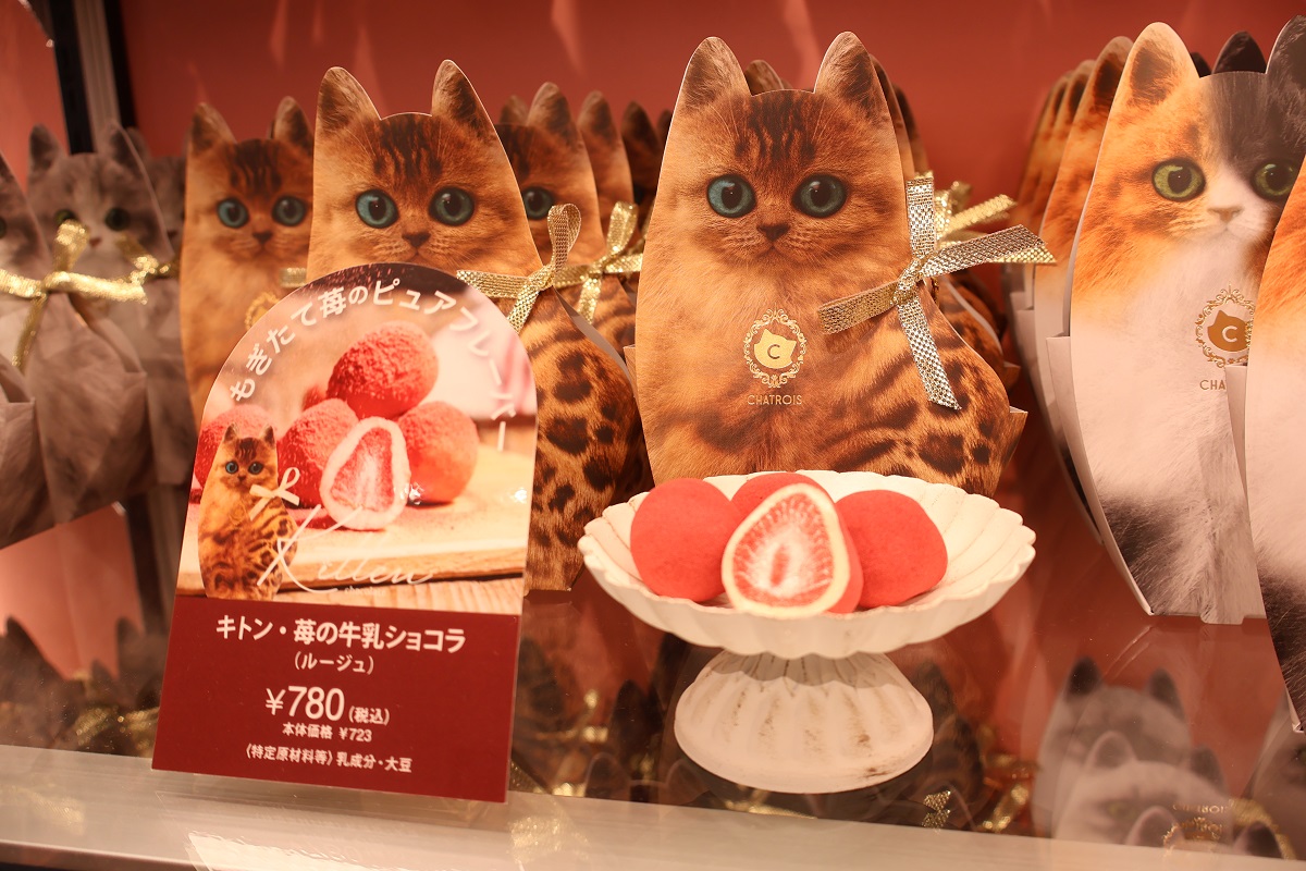 🧩12/19（金）NEWオープン！🧩 3F グレイシャス・スクエアに