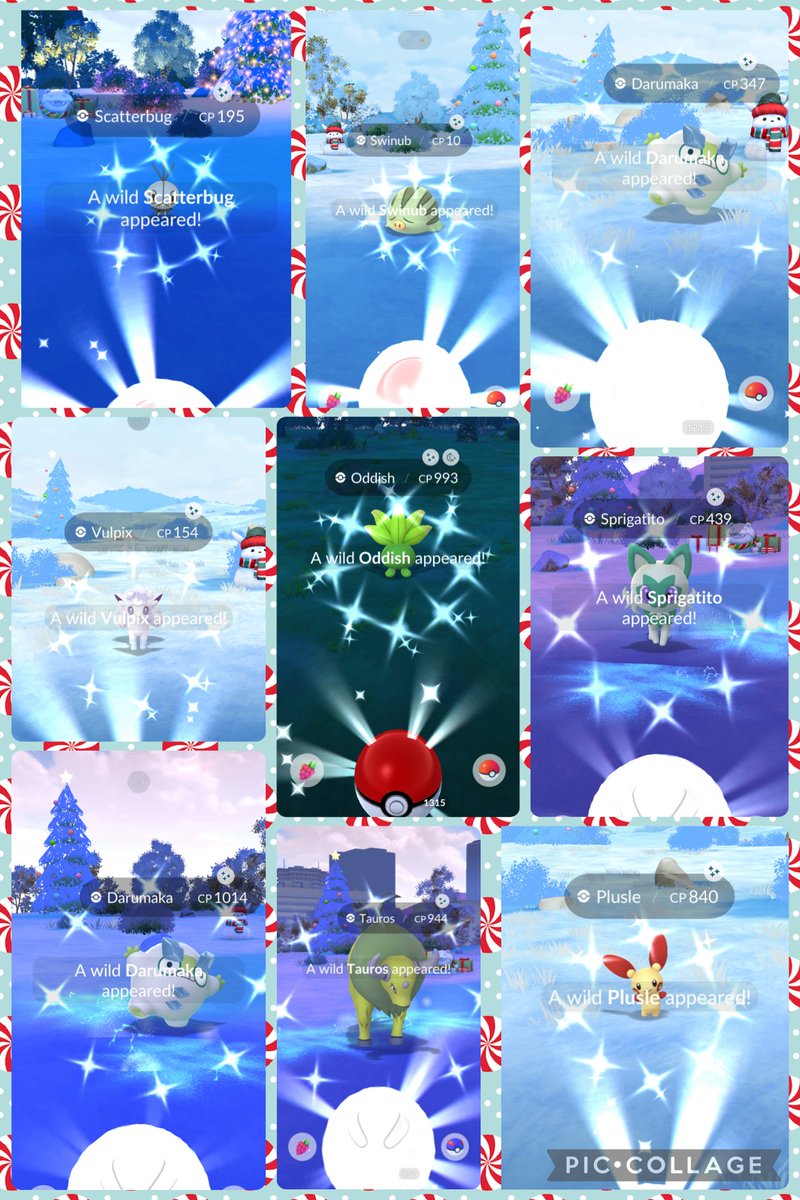 Today’s shinies ✨shiny polar scatterbug, another one to trade I guess #PokemonGO #ShinyPokemon