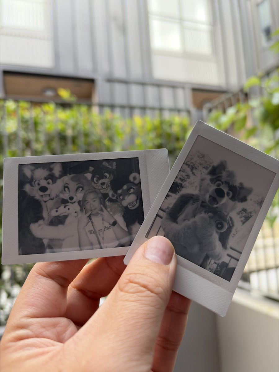 🆑air ✈️ FurDU 🇦🇺 tweet media