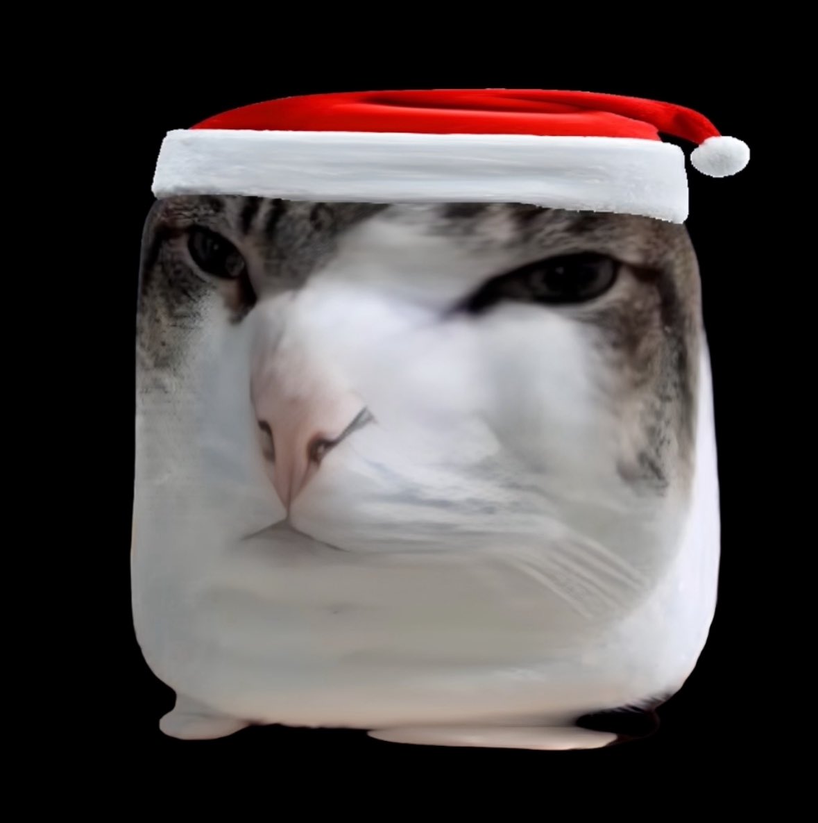 KOTARO様 Cuál de los Kotaro Santa te gustaría que fuera a visitarte? 🎅🎄