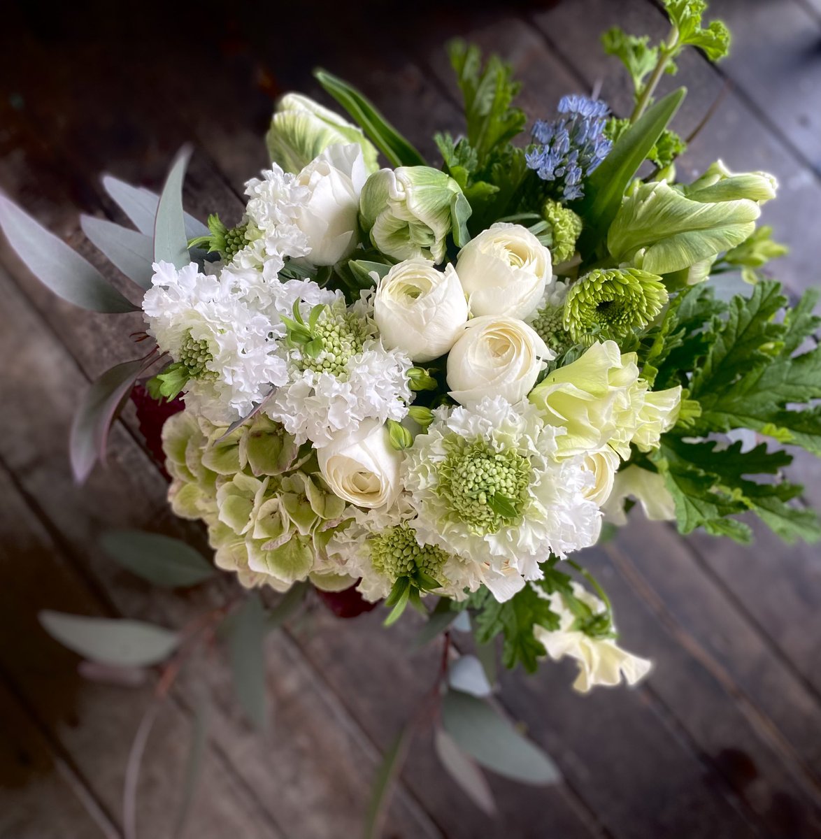 さくらんぼ Sakuranbow (@sakuranbow20) / Posts / X