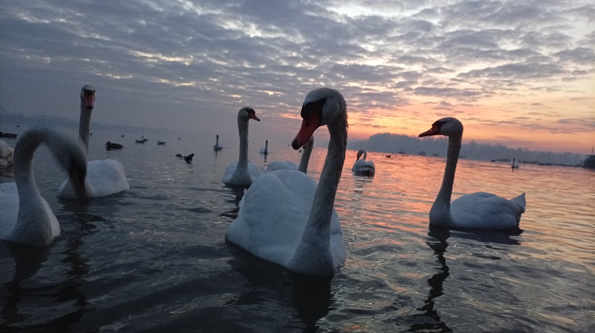 Nisam dugo bio na keju u #svitanje