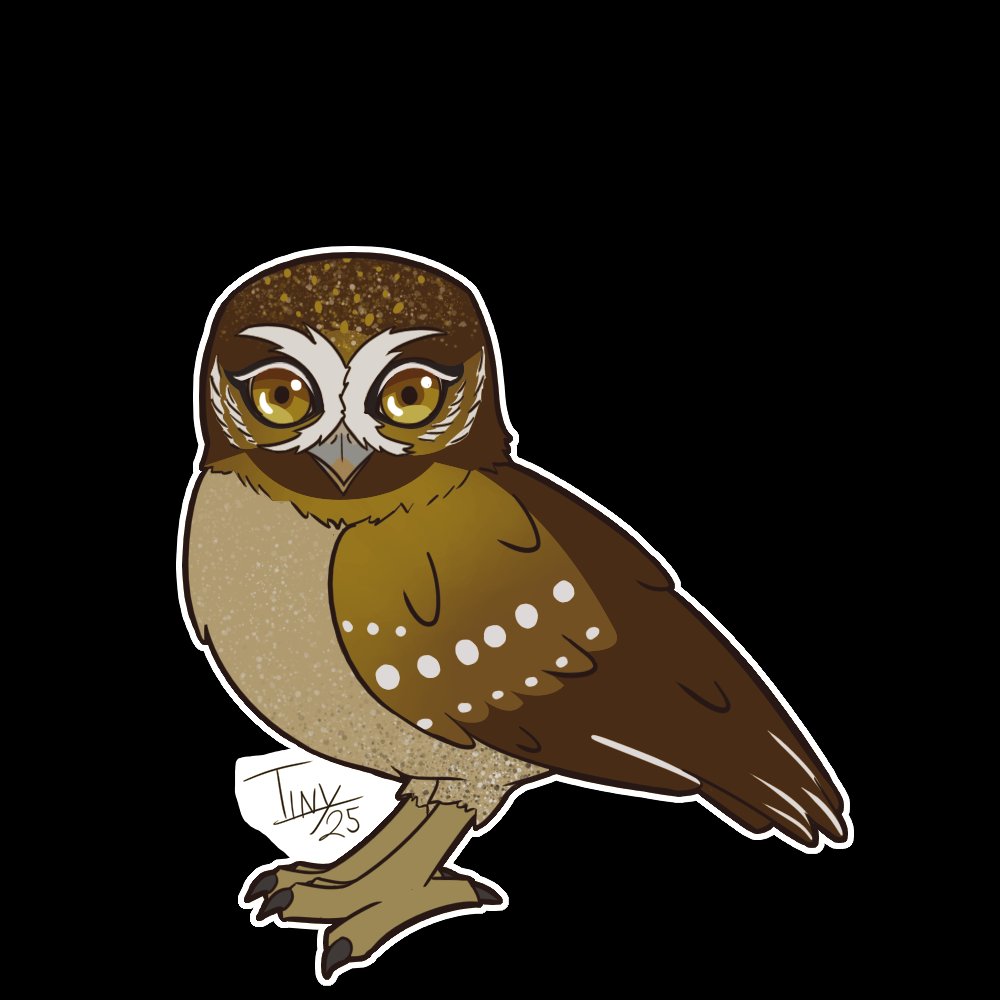 Tiny_Drawings's tweet image. y aquí mas stickers... Los Guardiandes de Ga'hoole, Guardians of Ga'hoole, Ga'Hoole: la leyenda de los guardianes o Legend Of The Guardians: The Owls of Ga'hoole como los conozcan jaja

Esta película marco mi infancia y tenia que hacerle homenaje c:

Soren Gylfie Twilight Digger