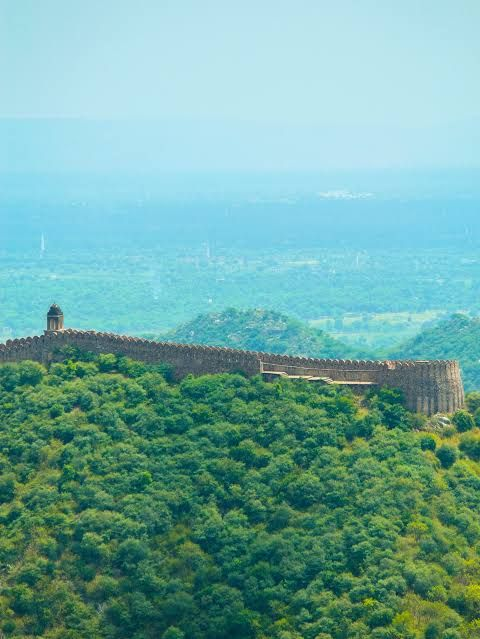 इस हरियाली को बचाइए। अरावली को बचाइए। जंगल कट गए, पहाड़ कट गए तो समझिए देश की लाइफ लाइन कट गई।