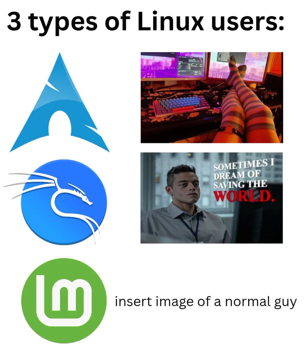 Quanta Nyx tweet media