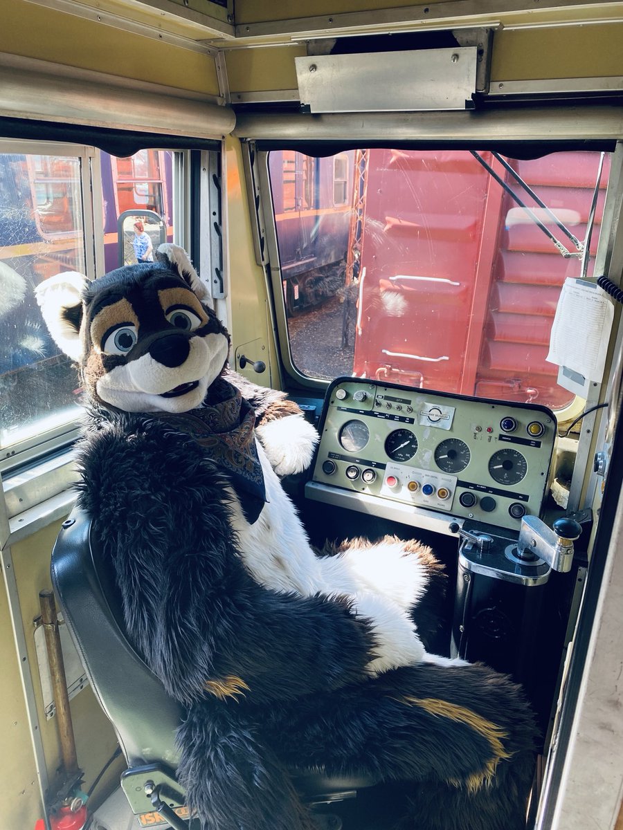 GenericFoxsuit's tweet image. I’d love to recreate this photo with my girl Riley, cute foxes make for great train drivers ♥️