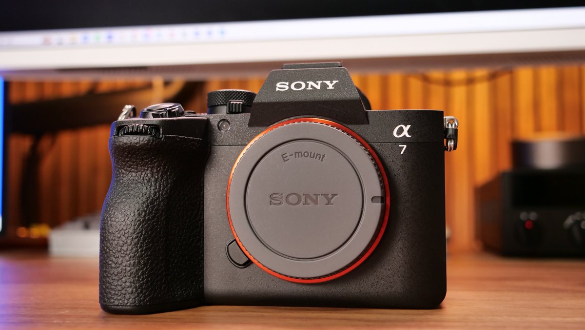 a7v発売日にきた！！！ sigmaの24 70 2.8で猫撮ってみた かわいいッ