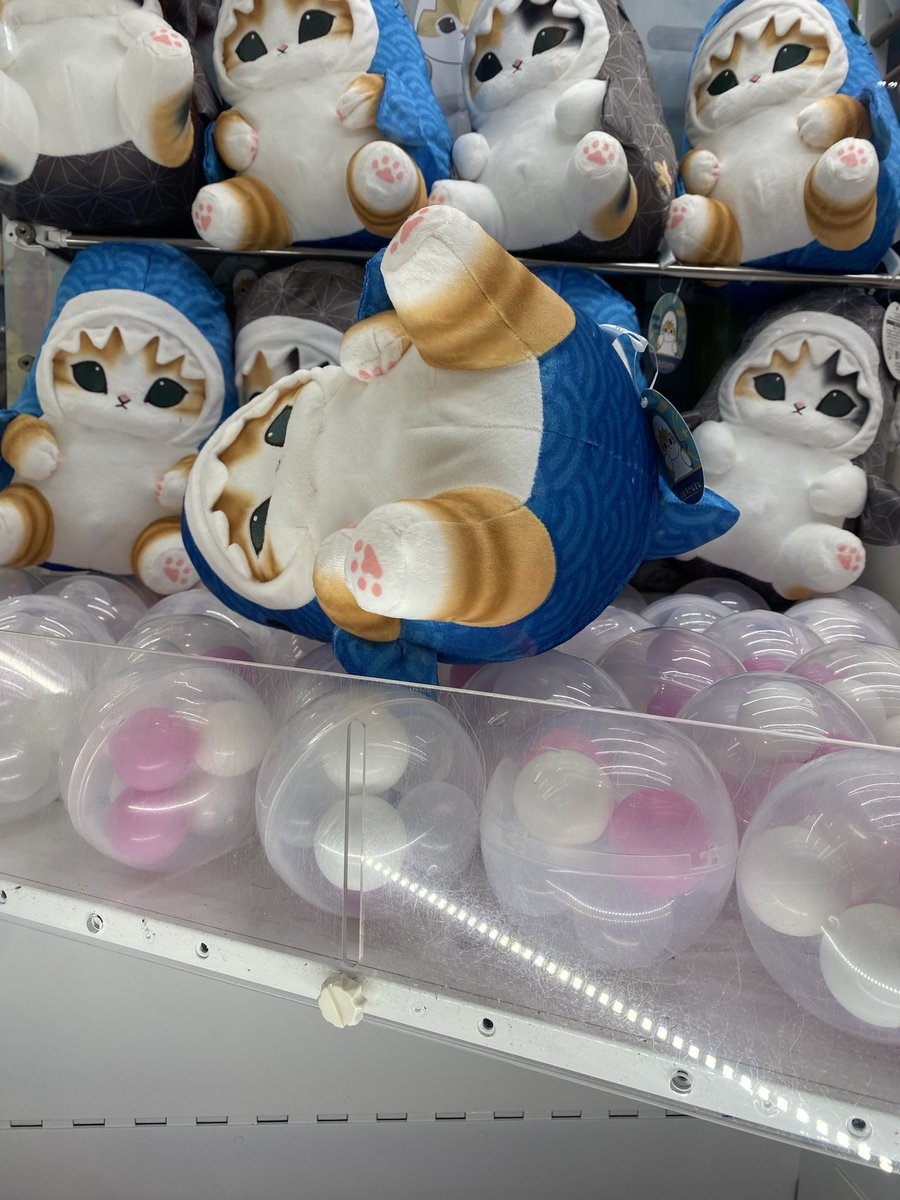 てつや (@kapo_neko) / Posts / X