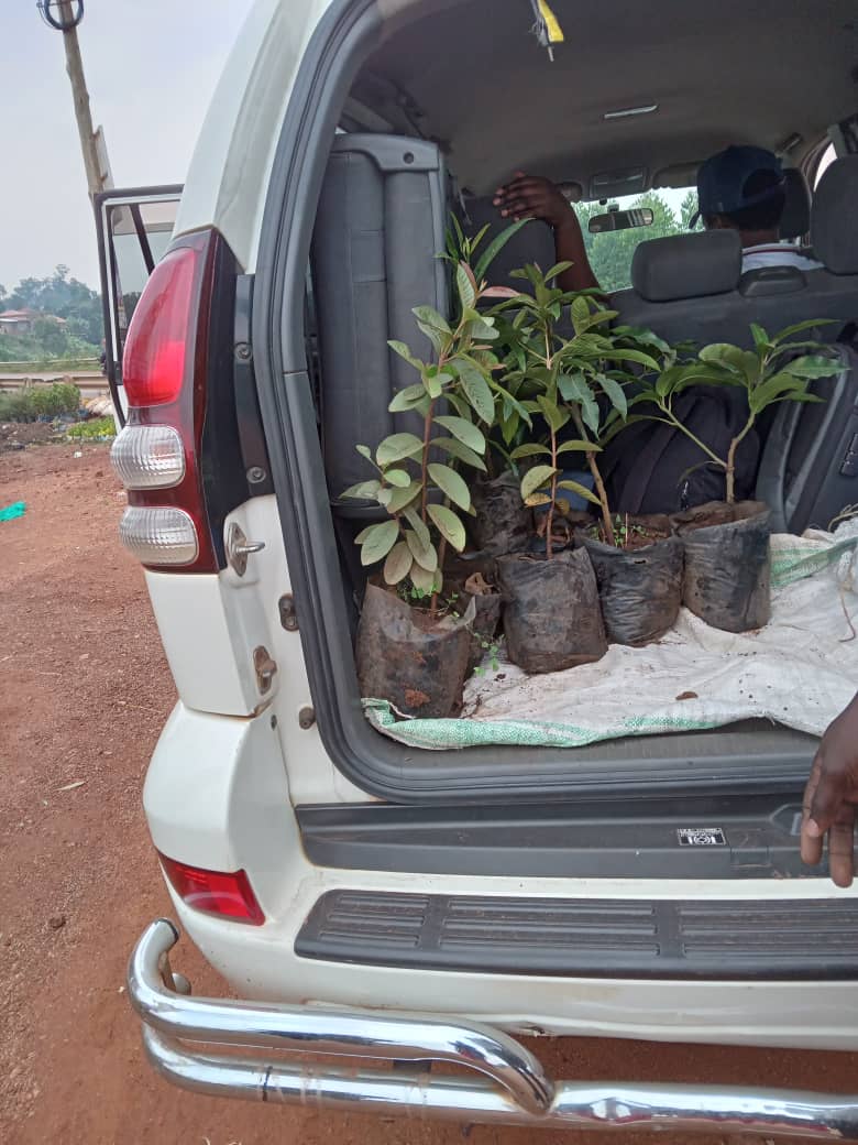 TJKFound_Int's tweet image. This #FestiveSeason make thoughtful choices that benefit the planet. Whether it's gifting reusable items, planting trees, or supporting eco-friendly brands, small actions can lead to meaningful change. What's your  favorite way  to contribute to #Environment this festive times?