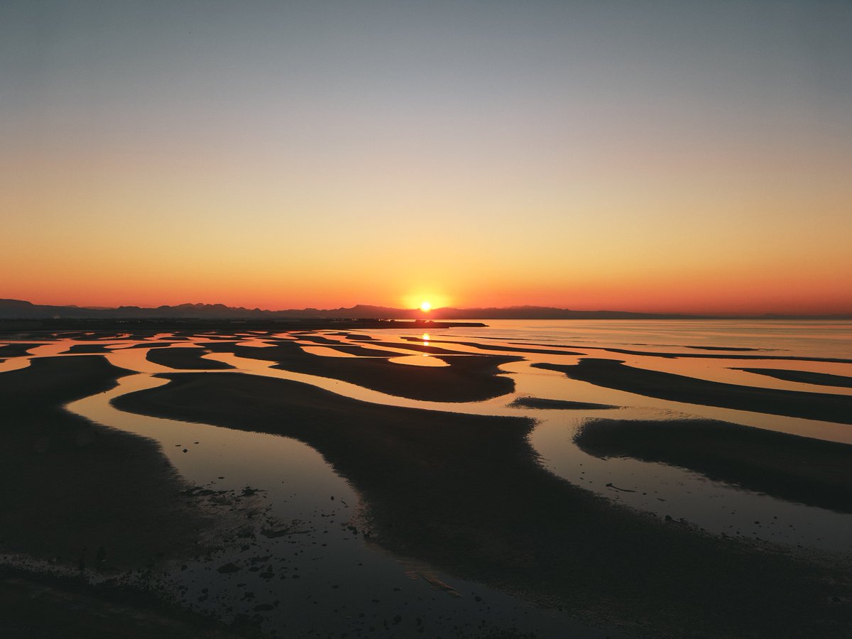 OPPOJapan's tweet image. 「これが、スマホで撮った写真？」
#OPPOFindX9 の発売に先駆け、フォトグラファーの真道 健志さんに、 その実力を試していただきました📸

写し出されたのは、息をのむほど美しい 「リアル」な瞬間の数々。

新搭載のマルチスペクトルカメラが、 その場の光の色を正確に捉え、…