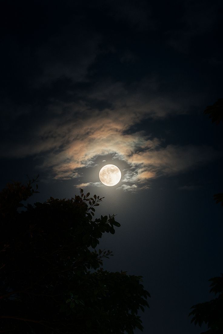 DailyMoonX's tweet image. 